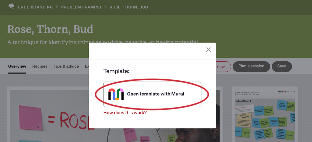 Open_template_with_Mural_updated.png